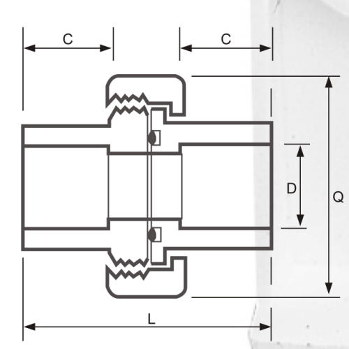 Din Pn10 Water Supply Upvc Union White Color 